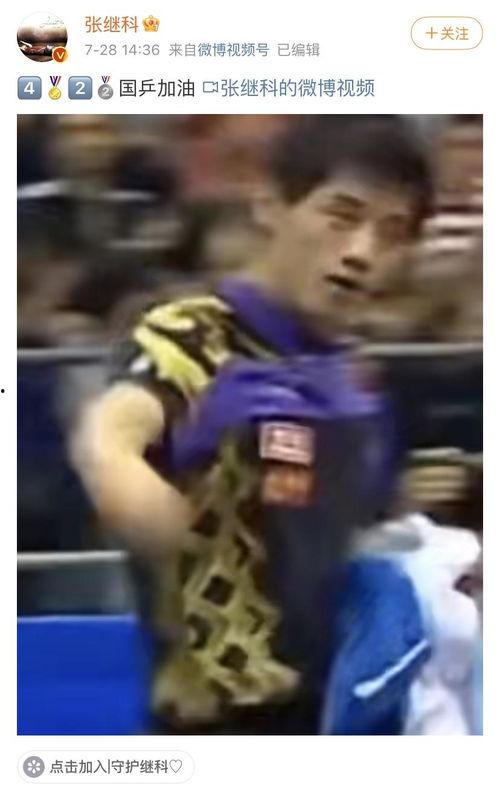 体育圈饭圈化 网红黑料是什么意思,体育圈饭圈化现象下的网红黑料解析